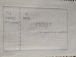 molly proporcions