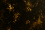 20250713_1042_Golden Abstract Texture_remix_01k01f2n4cejn9n64sb5dxgjaq.png