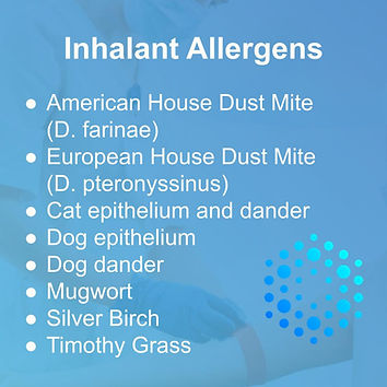 What is included in the Standard Allergy Test at The Health Lab.