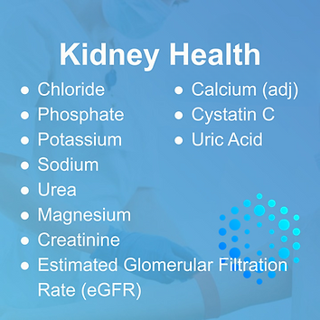 Extended Kidney Function Test at the Health Lab.