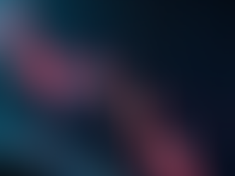 Understanding the Dynamics of Bull and Bear Markets