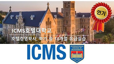 메인_항목_ICMS_2.jpg