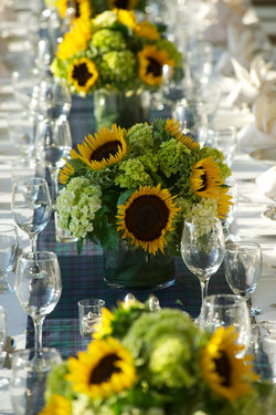 Ann Billingsley  189.jpg