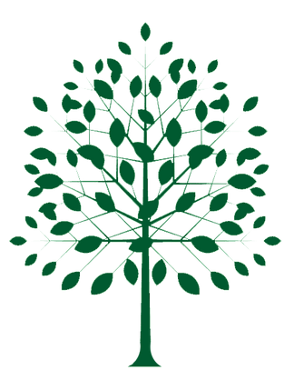 arbre1.png