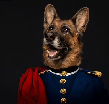 Capture d’écran 2025-02-28 à 18.07.32.png