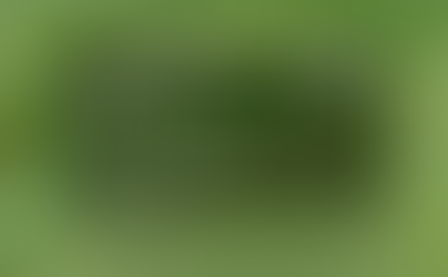 Where To Get The Best Quality Oil