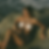 Untitled.png