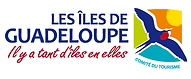 CTIG-LOGO