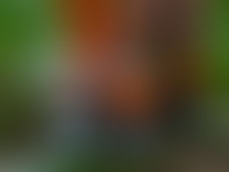 Framlingham v Holland FC