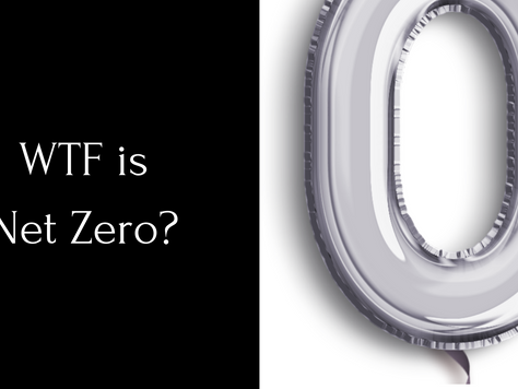 WTF is Net Zero?