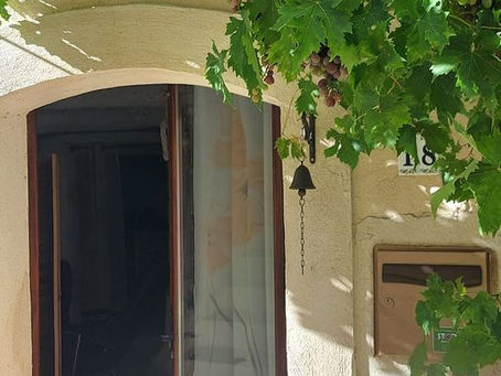 La vigne