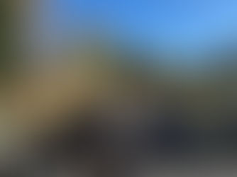 Eta Eta Lambda Chapter Continues Community Garden Initiative in Partnership with Eta Eta Lambda Foundation and EnBloom Collective