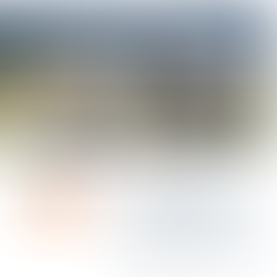 GSV New Investment: Capra 06/13/2024