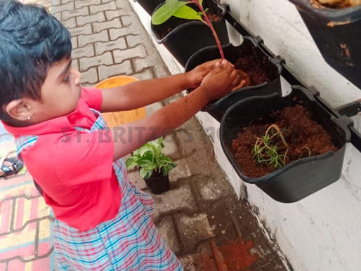 Plantation Drives – Nurturing Nature, Nurturing Minds