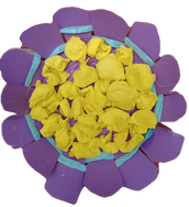 WhatsApp Image 2023-04-04 at 19.43_edited.png