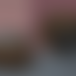 ACACIA | TOURISTS TO SINGAPORE