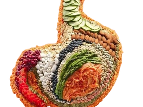 Gut Health Nutritionist Support in Perth