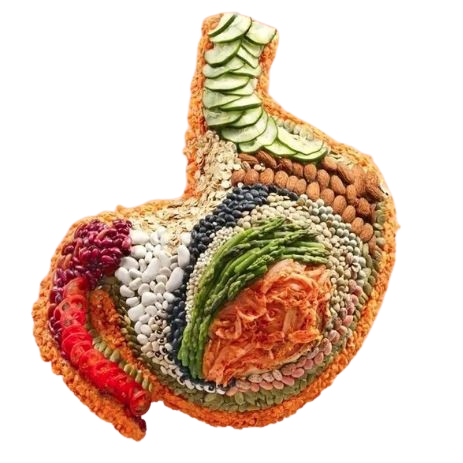 Gut Health Nutritionist Support in Perth