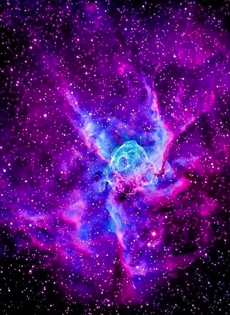 ree