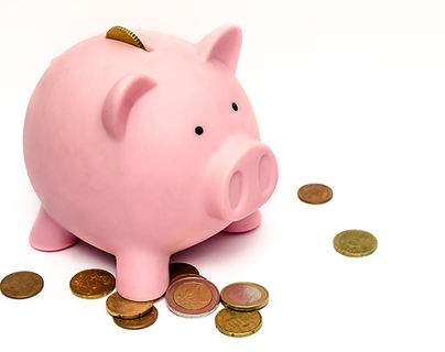 money-pink-coins-pig-9660.jpg