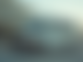 Flat-Rate Shuttle Services IND: What to Know