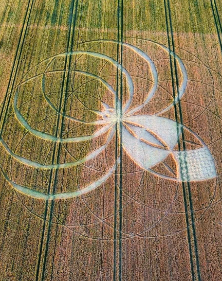 From Lord Rama: A New Crop Circle, County of Dorset, England - This looks like a scarab beetle, overlaid on a previous crop circle. The ancient Egyptians worshipped the beetle as the Earthly manifestation of the Sun at its birth, and called it Khepri. It symbolized "coming into existence." Also associated with a long life and, in this sense, it is linked to the deceased, to his capacity for regeneration.https://historicaleve.com/scarab-beetle-symbolize-ancient- egypt/