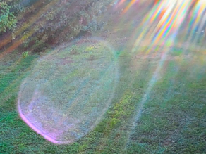 Rama's White Knight Report - September 16, 2024