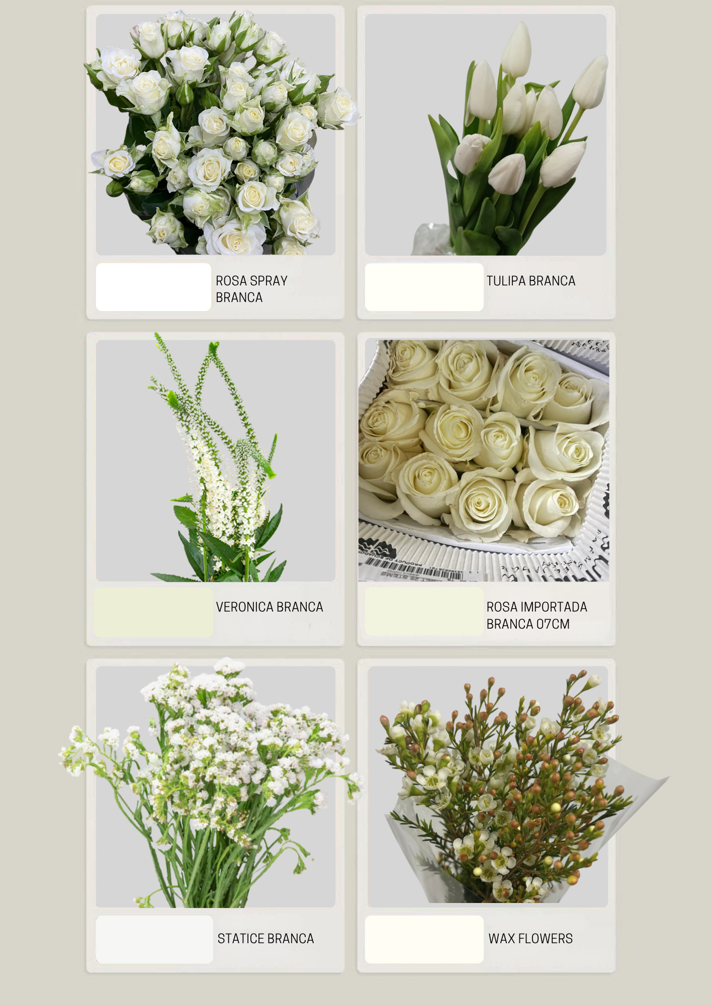 Catalogo Branco