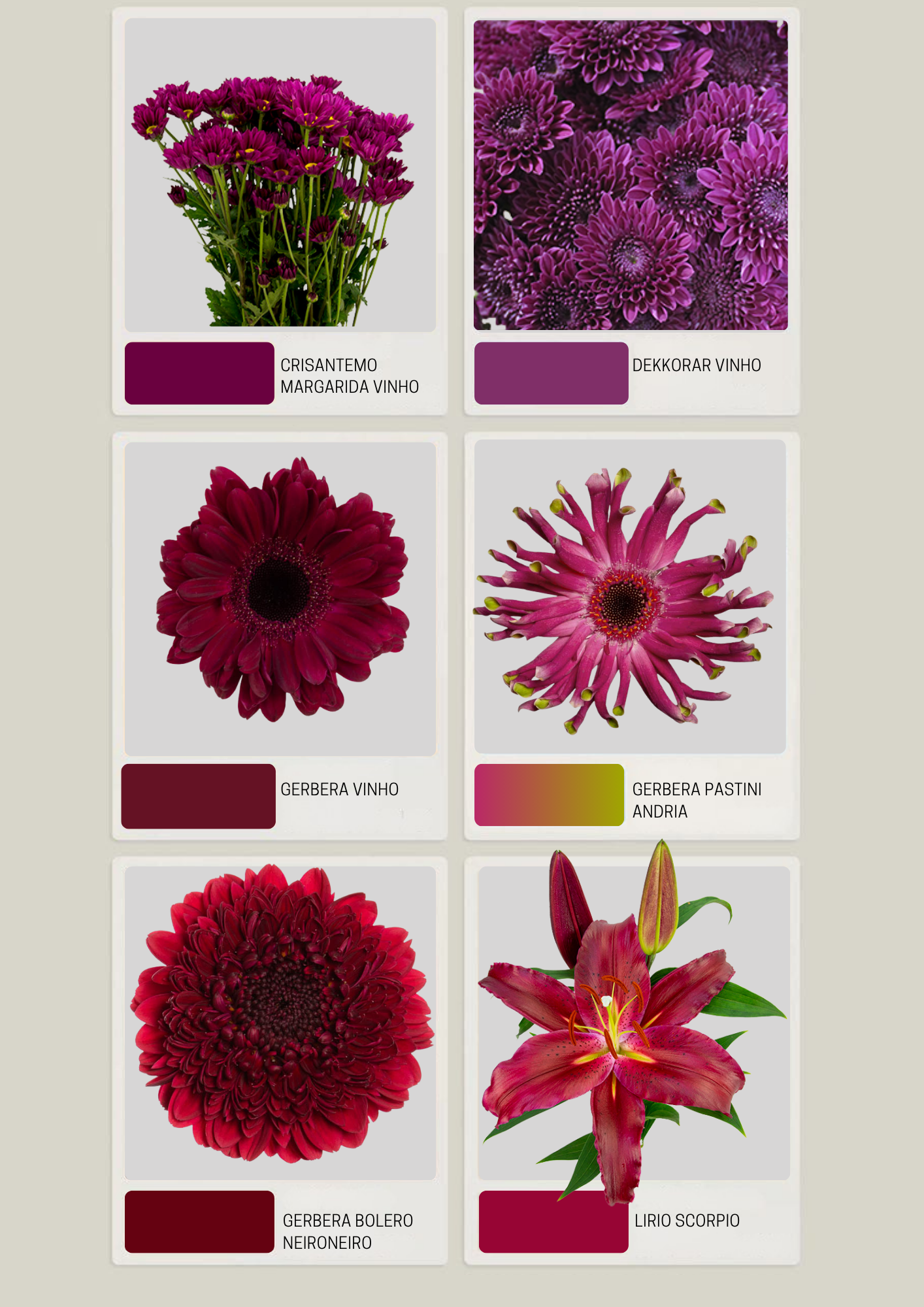 Catalogo Pink, Vinho e Rosa.