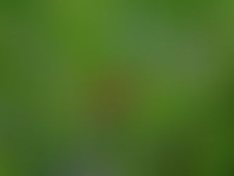 Evaluation: EAFRD and ERDF from various member states (2006)