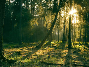 Regionsentwicklung Nordwald (laufend)