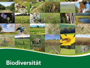 Biodiversity training concept (2015)