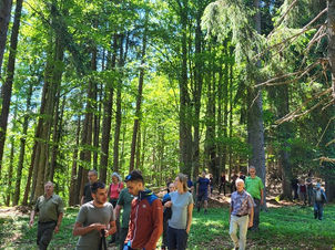 WaldbewirtschafterInnen beobachten Biodiversität (2018)