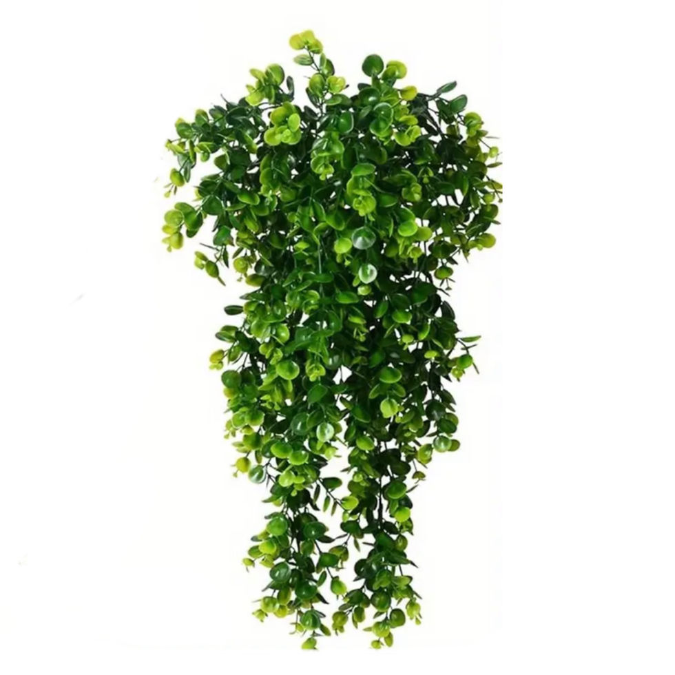 Thumbnail: Hanging Vines For Reptile Terrariums