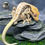 Thumbnail: Lilly White Crested Gecko