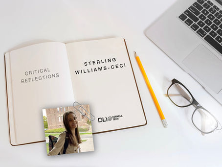 Are Large Language Models Manipulating Us? An Analysis Based on Susser, Roessler, & Nissenbaum (2019)