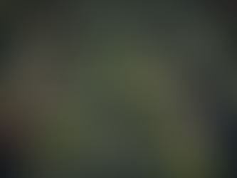 Discover Regenerative Permaculture at The Lair of Liz