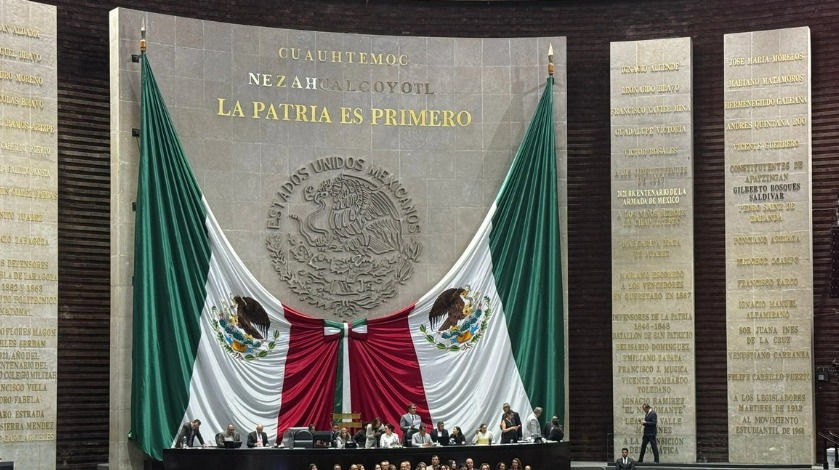 Iniciativa en San Lázaro condiciona exportaciones a comprobación de no deforestación