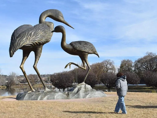 Guachochi estrenará el primer acuario de Chihuahua en julio; inversión supera los 60 millones de pesos