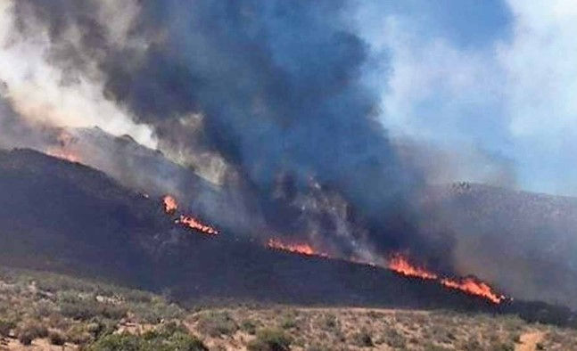 Chihuahua registra nueve incendios forestales activos; 323 hectáreas afectadas