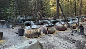 Desmantelan laboratorios de drogas sintéticas en la sierra de Chihuahua