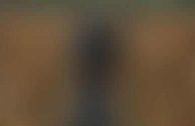 Maiceros de Campeche, Guanajuato, Jalisco, Michoacán, Querétaro y Tlaxcala recibirán subsidio federal