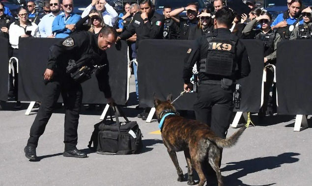 Chihuahua presenta a Lupo, el primer perro K9 en México que detecta fentanilo