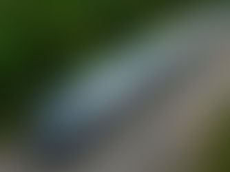 Gobierno Federal atiende a 225 afectados por descarrilamiento del Tren Interoceánico