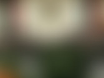 INE suspenderá labores del 1 al 6 de abril; cierran módulos de credenciales