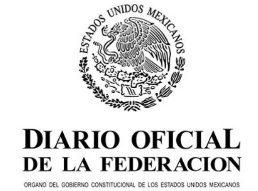 DOF publica decreto de la nueva Comisión para la Reforma Electoral