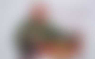 Despliegue de inteligencia militar permite la captura de un alto líder del CJNG en Jalisco