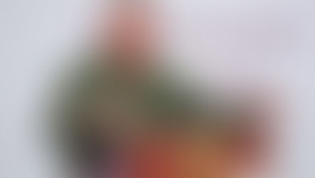 Despliegue de inteligencia militar permite la captura de un alto líder del CJNG en Jalisco