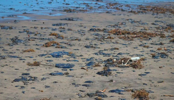 Satélites descartan derrame masivo de hidrocarburos en el Sureste del Golfo de México