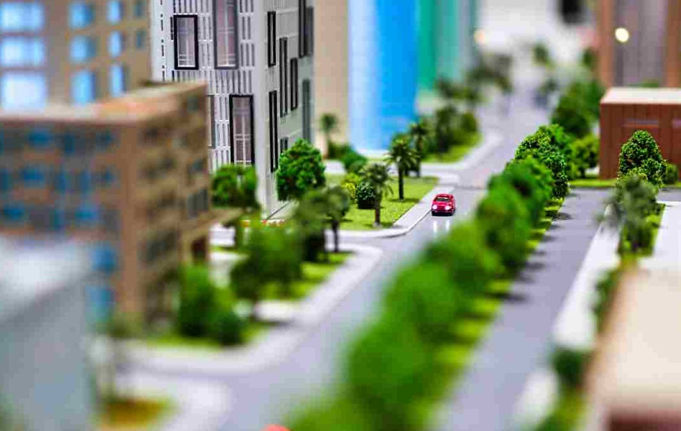 PVEM en el Senado plantea integrar espacios naturales en el diseño de las ciudades